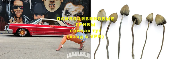 винт Балахна