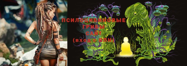 винт Балахна