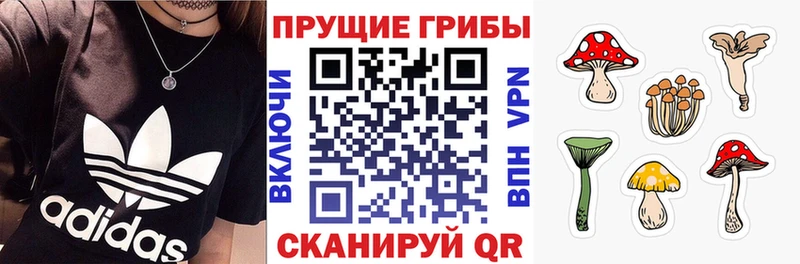 Псилоцибиновые грибы Psilocybine cubensis закладки Сатка